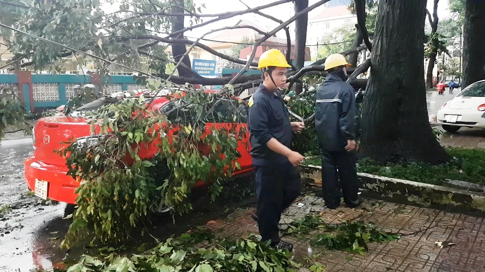 cùng lúc một nhánh cây lớn gãy xuống, đè trúng hai ô tô bên dưới trên đường Trần Quốc Thảo. 